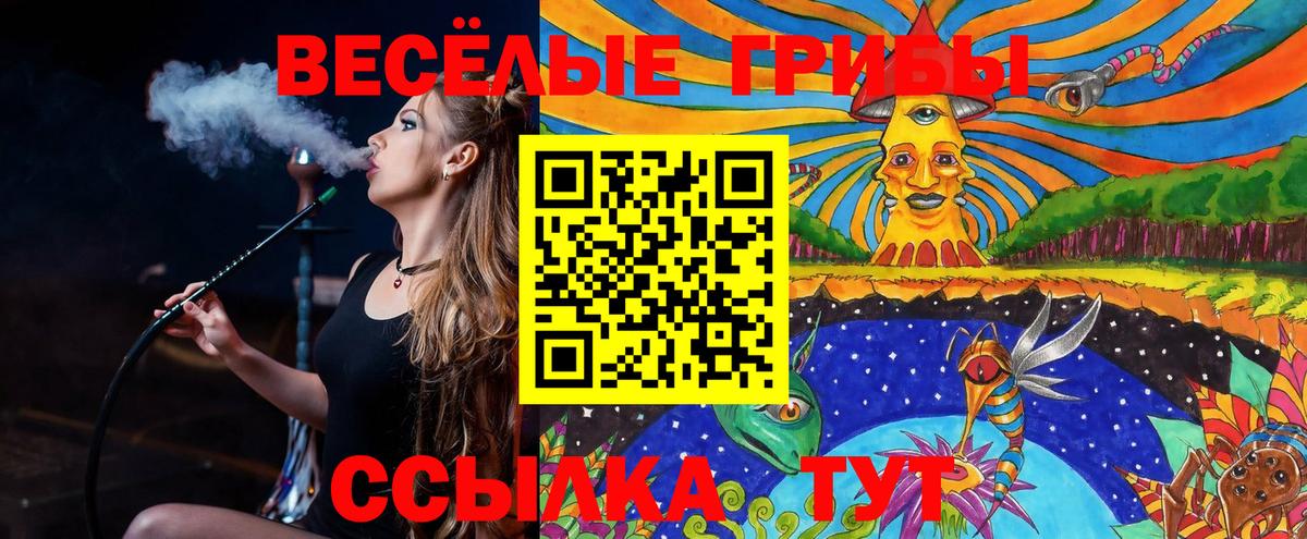 Галлюциногенные грибы мухоморы  Галлюциногенные грибы Psilocybe  Владивосток  Вход с VPN 